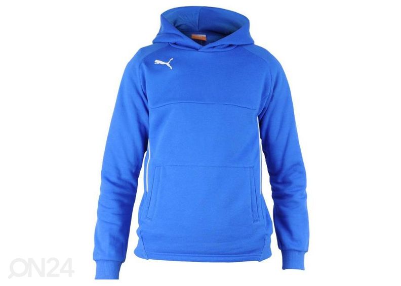 Meeste dressipluus Puma Hoody L M 65397902 suurendatud