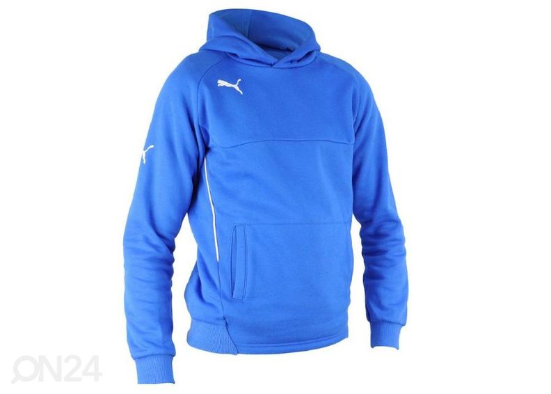 Meeste dressipluus Puma Hoody L M 65397902 suurendatud