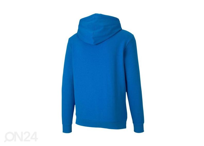 Meeste dressipluus Puma TeamGoal 23 Casuals suurendatud