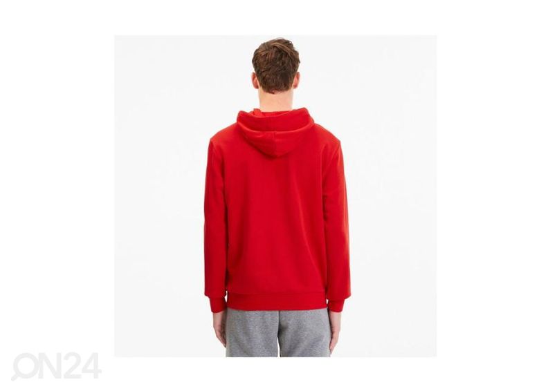 Meeste dressipluus Puma TeamGoal 23 Casuals suurendatud