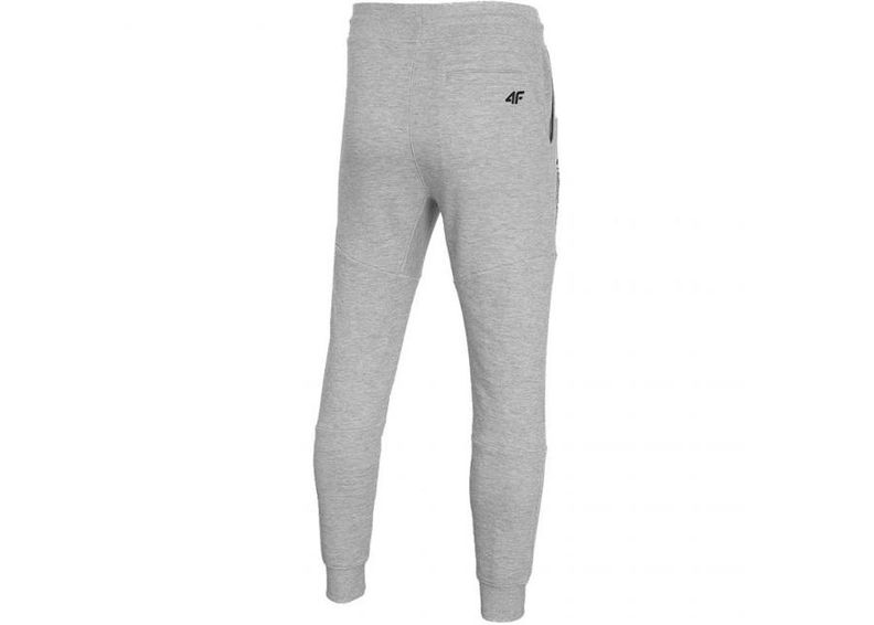 Meeste dressipüksid 4F M D4L20 SPMD209 27M suurendatud