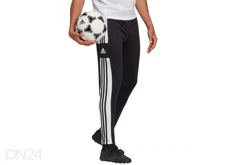 Meeste dressipüksid Adidas Squadra 21 Training Panty suurendatud