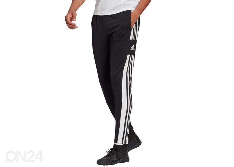 Meeste dressipüksid Adidas Squadra 21 Training Panty suurendatud