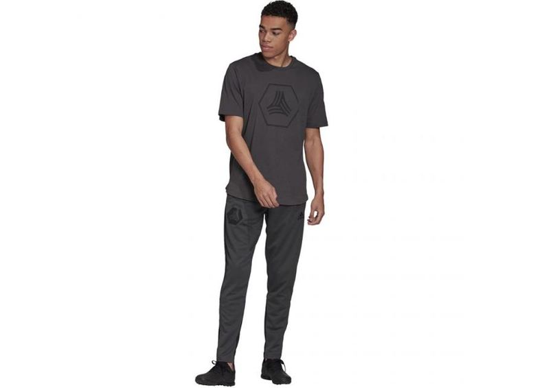 Meeste dressipüksid adidas Tan Training Pants M FJ6329 suurendatud