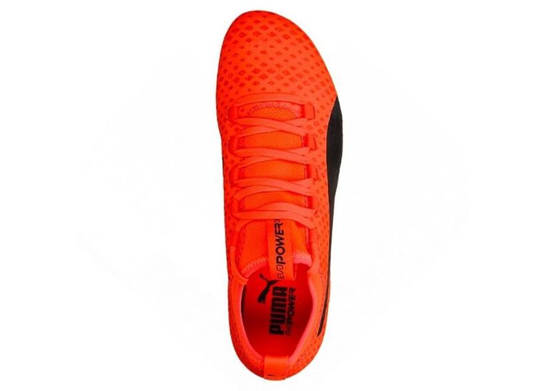 Meeste jalgpallijalatsid muru Puma Evo Power Vigor 3 FG M 104297 01 suurendatud
