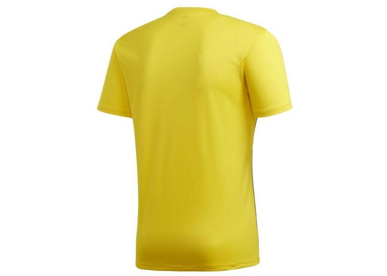 Meeste jalgpallisärk Adidas Polo Core 18 M FS1905 suurendatud