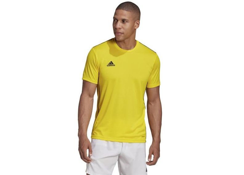Meeste jalgpallisärk Adidas Polo Core 18 M FS1905 suurendatud