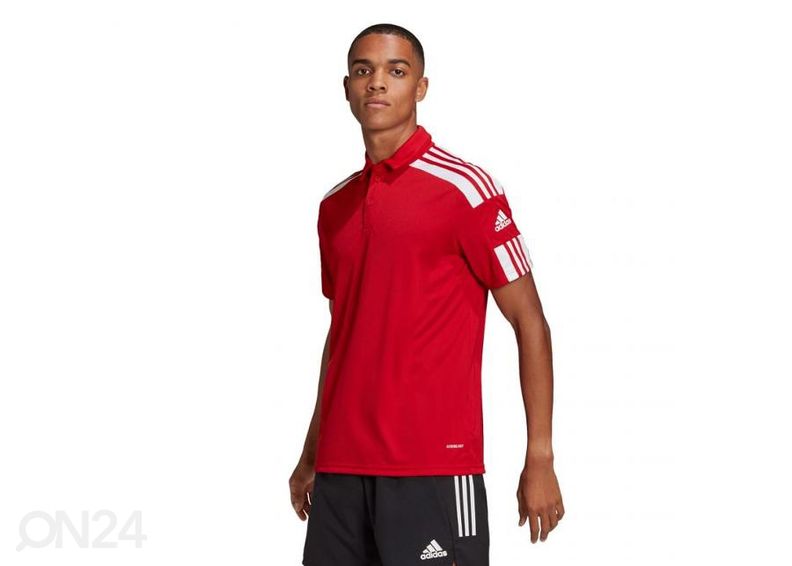 Meeste jalgpallisärk Adidas Squadra 21 Polo suurendatud