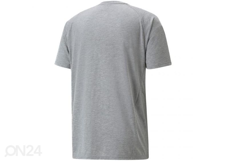 Meeste jalgpallisärk Puma Neymar Evostripe Tee Medium suurendatud