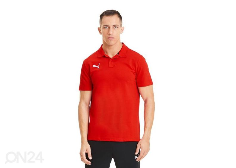 Meeste jalgpallisärk Puma teamGoal 23 M 656579-01 suurendatud