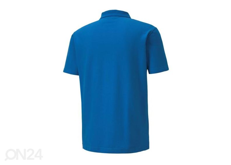 Meeste jalgpallisärk Puma teamGoal 23 M 656579-02 suurendatud
