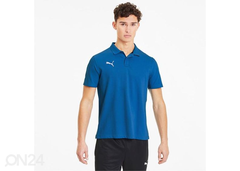 Meeste jalgpallisärk Puma teamGoal 23 M 656579-02 suurendatud