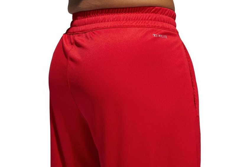 Meeste korvpalli lühikesed püksid Adidas Badge of Sport M DX6744 suurendatud