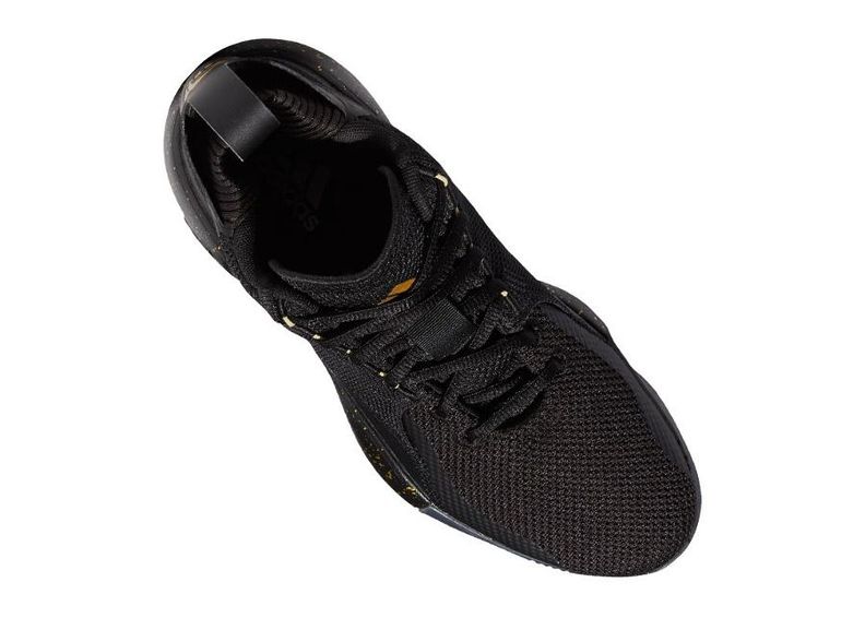 Meeste korvpallijalatsid Adidas D Rose 773 2020 M FW9838 suurendatud