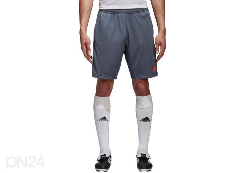 Meeste lühikesed jalgpallipüksid Adidas Condivo 18 Training suurendatud