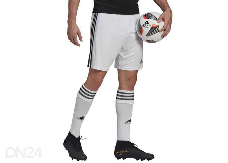 Meeste lühikesed jalgpallipüksid Adidas Squadra 21 Short suurendatud
