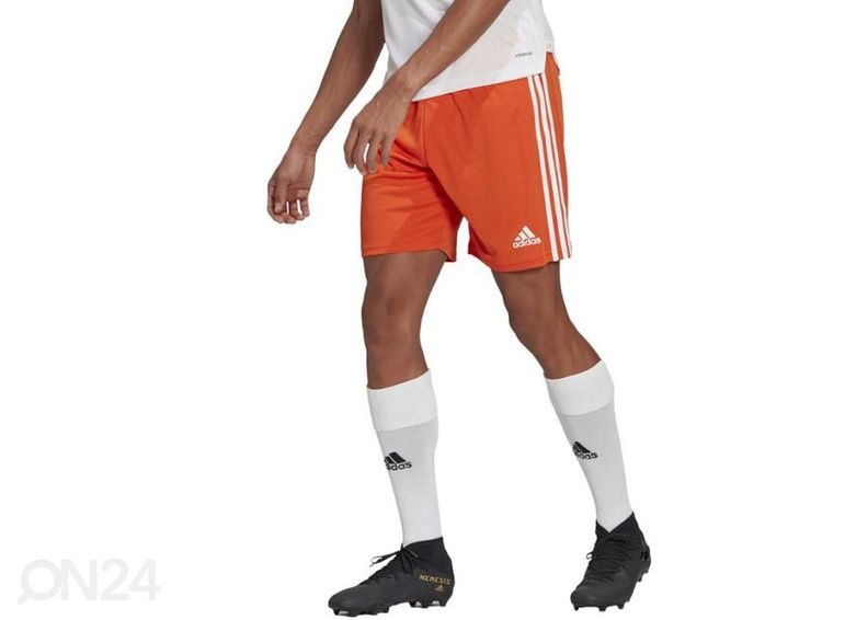 Meeste lühikesed jalgpallipüksid Adidas Squadra 21 Short suurendatud
