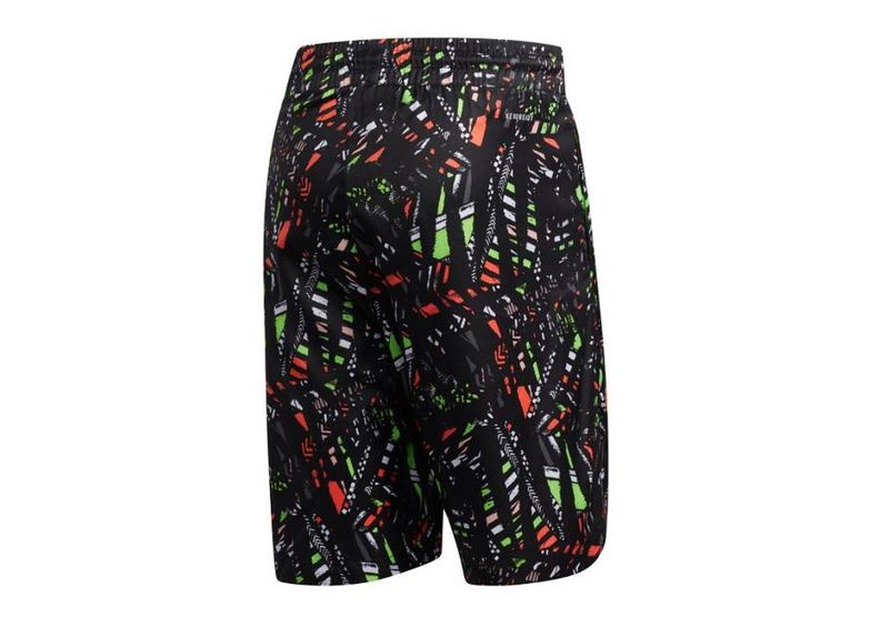 Meeste lühikesed korvpallipüksid Adidas Harden Swagger M FH7757 suurendatud