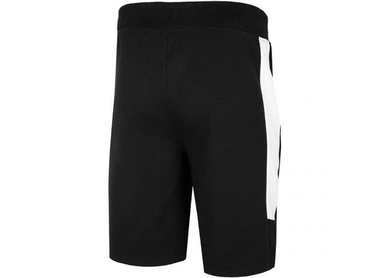 Meeste lühikesed treeningpüksid 4F M H4L20 SKMD002 20S suurendatud