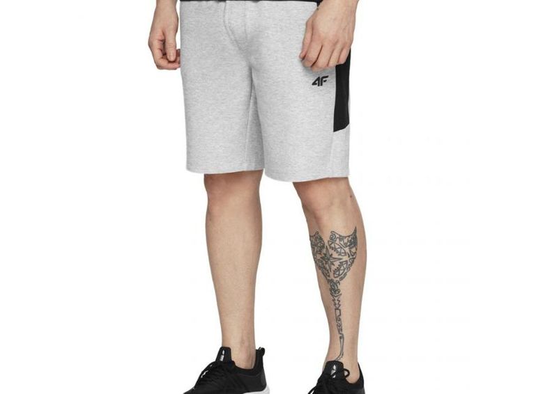 Meeste lühikesed treeningpüksid 4F M H4L20 SKMD002 27M suurendatud