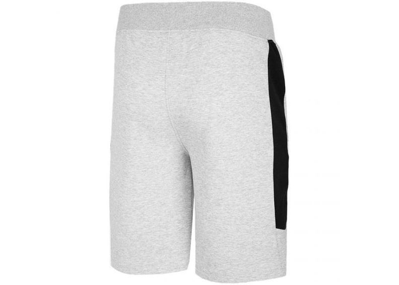 Meeste lühikesed treeningpüksid 4F M H4L20 SKMD002 27M suurendatud