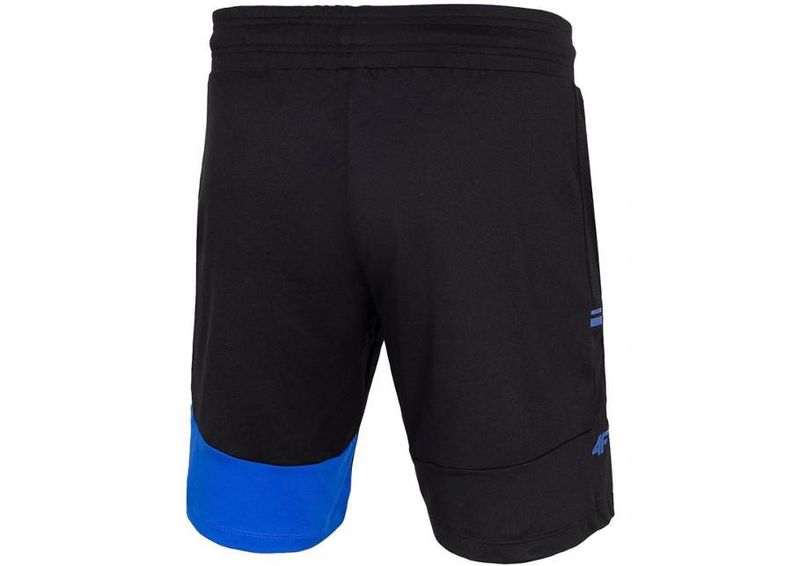 Meeste lühikesed treeningpüksid 4F M H4L20 SKMF013 20S suurendatud