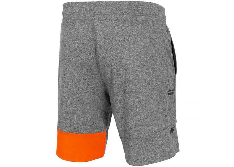 Meeste lühikesed treeningpüksid 4F M H4L20 SKMF013 70S suurendatud