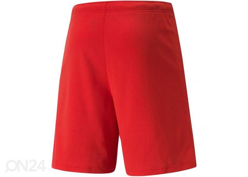 Meeste lühikesed treeningpüksid Puma teamRISE Short suurendatud