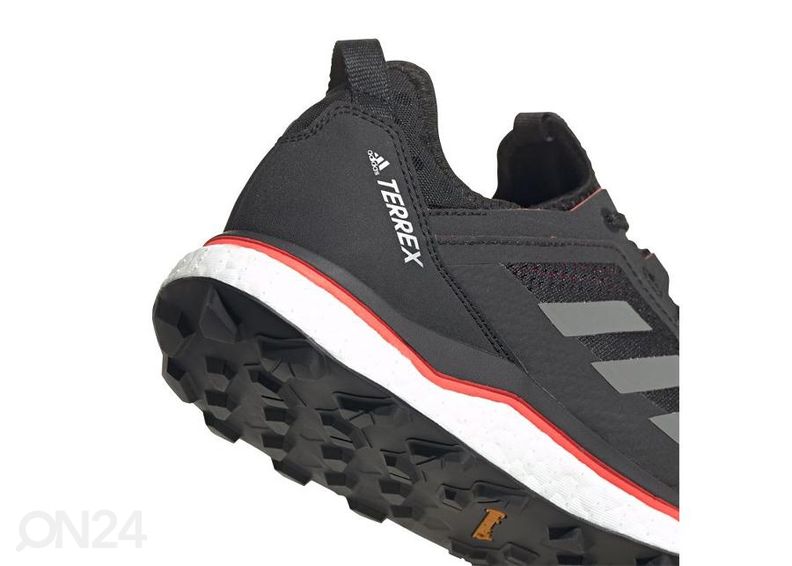 Meeste matkajalatsid Adidas Terrex Agravic Flow Gtx M suurendatud