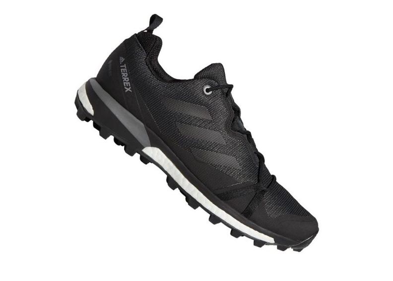 Meeste matkajalatsid Adidas Terrex Skychaser LT GTX M F36099 suurendatud