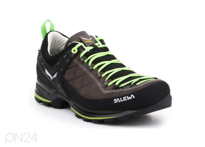 Meeste matkajalatsid Salewa MS MTN Trainer 2 L M suurendatud