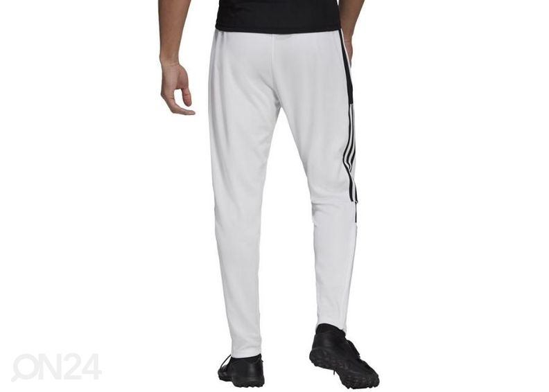 Meeste pikad jalgpallipüksid Adidas Tiro Track Pant CU suurendatud