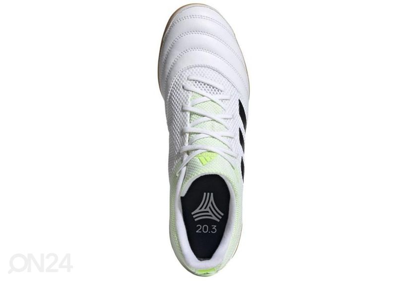 Meeste saali jalgpallijalatsid Adidas Copa 20.3 IN Sala M G28547 suurendatud