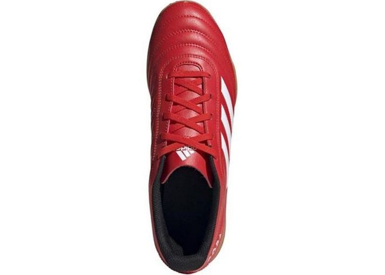 Meeste saali jalgpallijalatsid adidas Copa 20.4 IN M EF1957 suurendatud