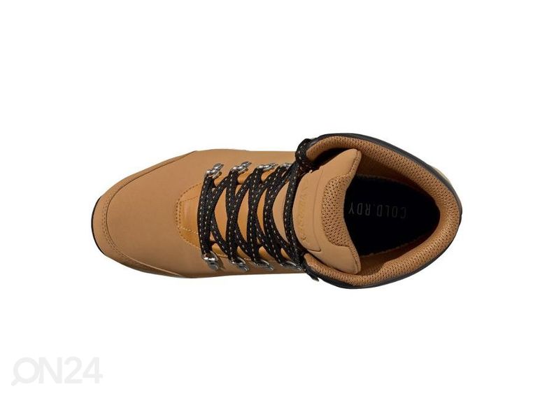 Meeste talvesaapad Adidas Terrex Pathmaker Rain.Rdy suurendatud