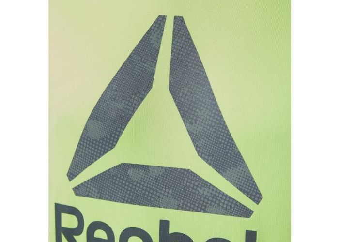 Meeste treeningsärk Reebok Run Graphic Tee M BR4414 suurendatud