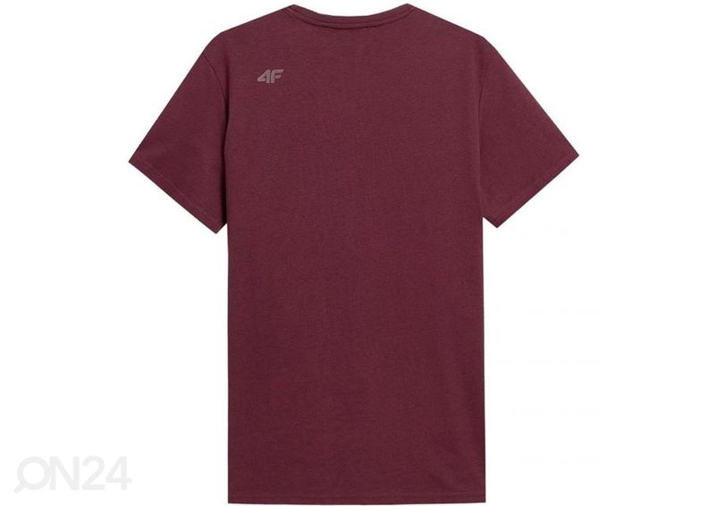 Meeste vabaajasärk 4F M H4Z21 TSM025 60S suurendatud