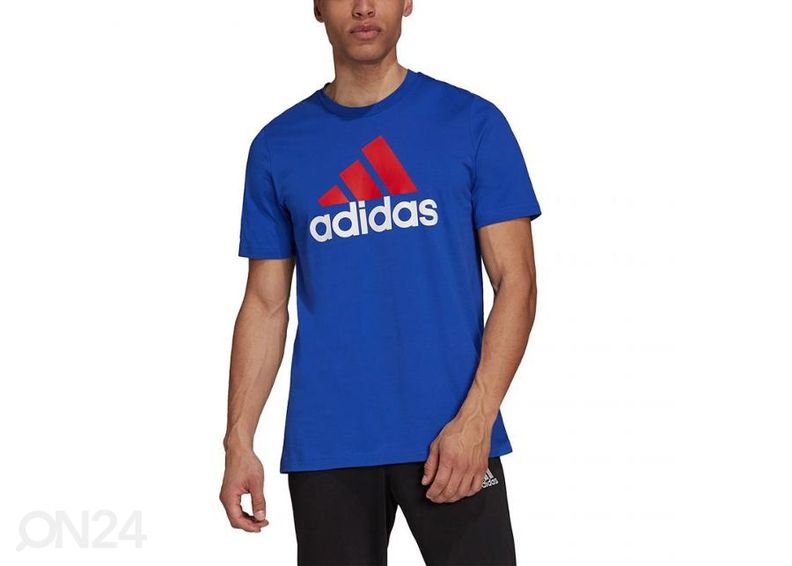 Meeste vabaajasärk Adidas Essentials Big Logo Tee suurendatud