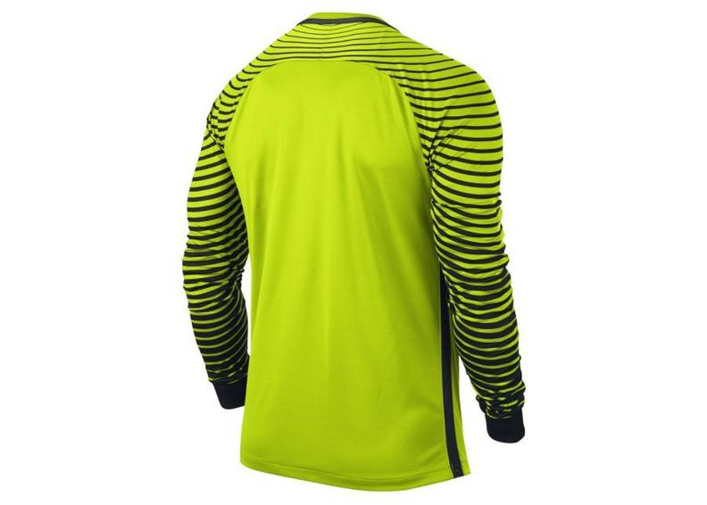 Meeste väravavahisärk Nike GARDIEN LS M 725882-702 suurendatud