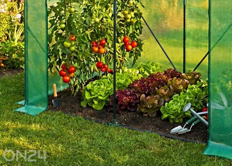 Minikasvuhoone 80x200 cm suurendatud