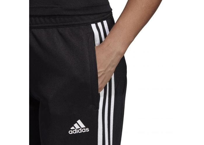 Naiste dressipüksid adidas Tiro 19 Training Pant W D95957 suurendatud