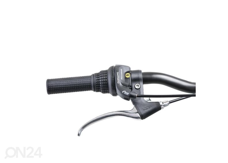 Naiste linnajalgratas Reactor Swan 28” suurendatud