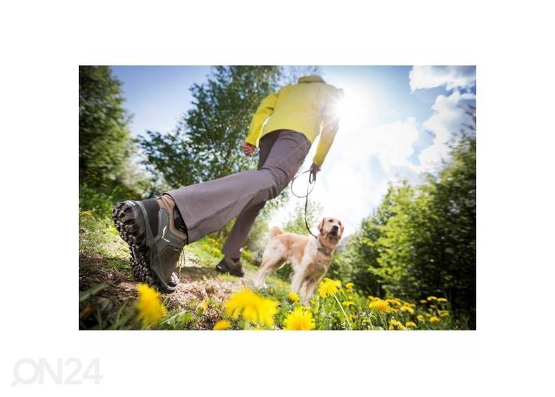 Naiste matkajalatsid Salewa Wander Hiker GTX suurendatud
