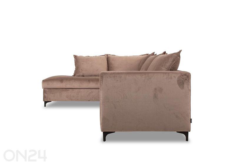 Nurgadiivan Chilux vasakpoolne, helepruun suurendatud