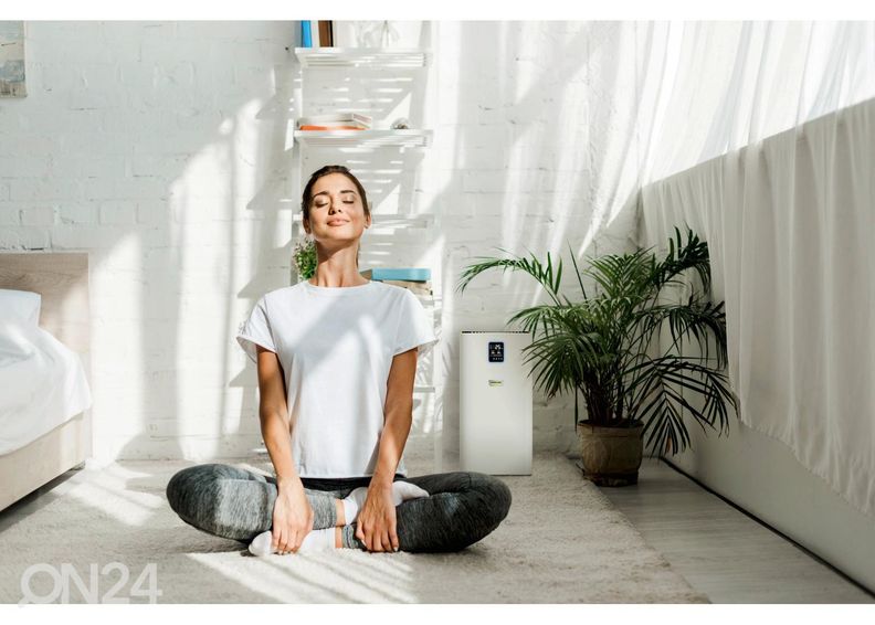 Õhupuhasti Kärcher AF 30 suurendatud