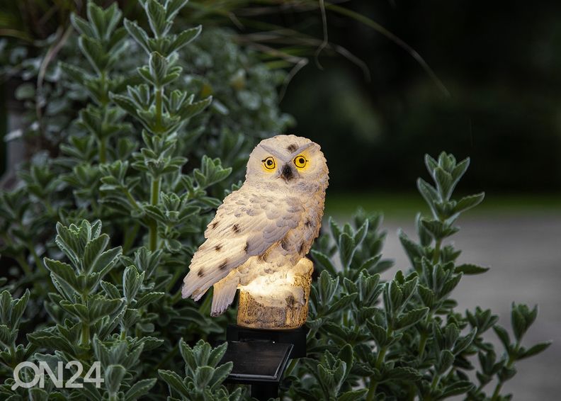 Päikesepaneeliga dekoratsioon Owl suurendatud