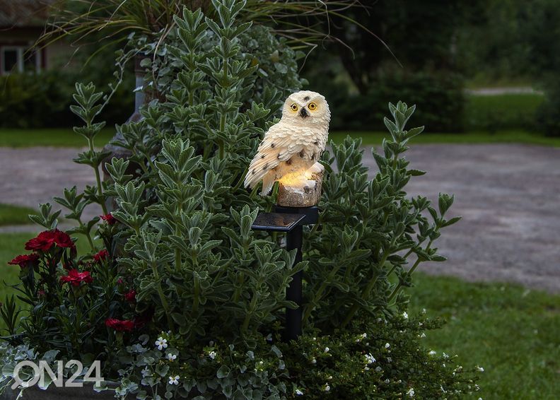 Päikesepaneeliga dekoratsioon Owl suurendatud