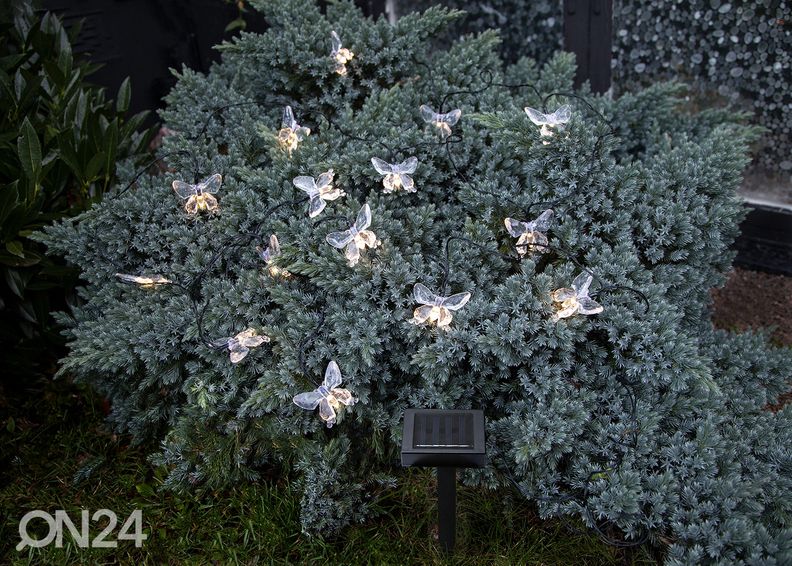 Päikesepaneeliga valguskett Papillon suurendatud