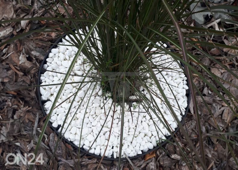 Peenraääris/murupiire 4 cm 10 m + 20 kinnitusnaela suurendatud