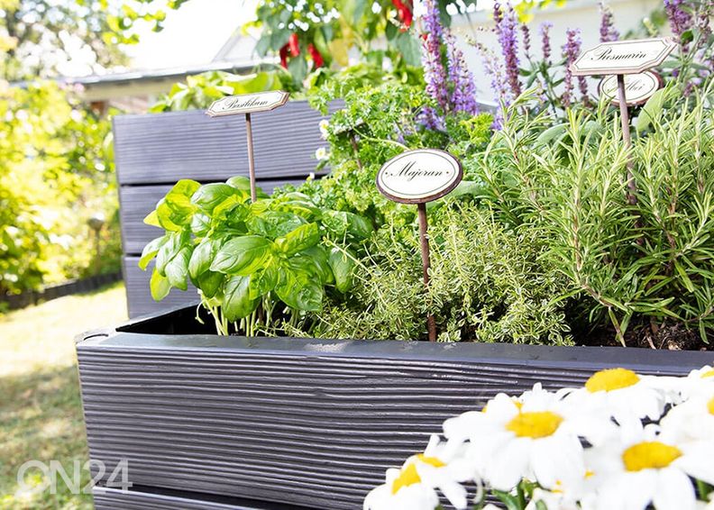 Peenrakast Ergo Quadro suurendatud